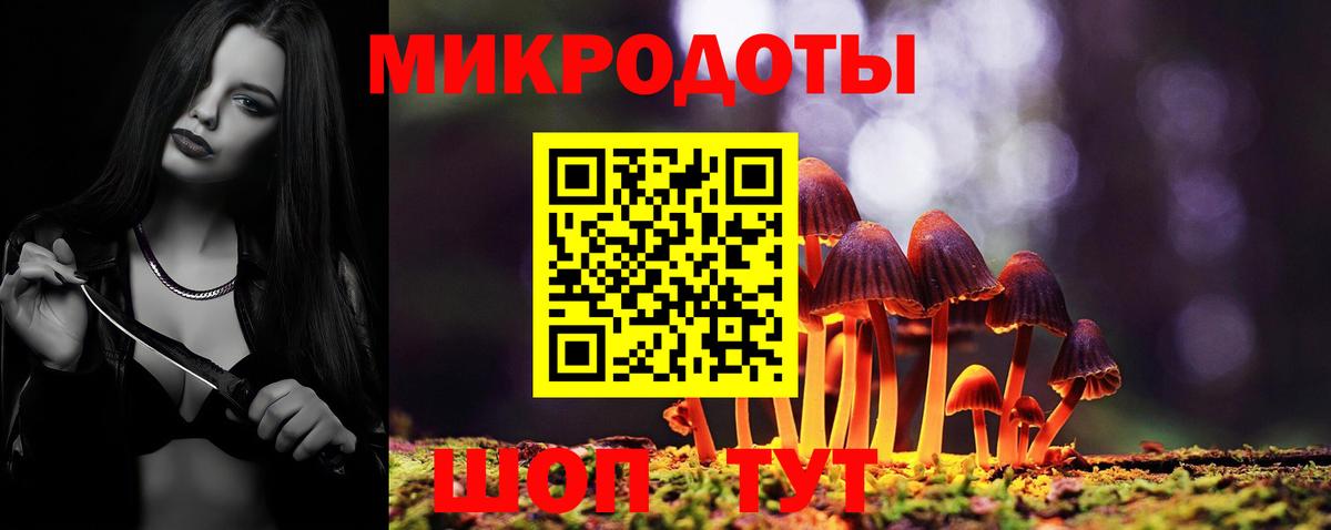 хочу   Псилоцибиновые грибы прущие грибы  Вход с VPN  Донской  Галлюциногенные грибы мицелий 