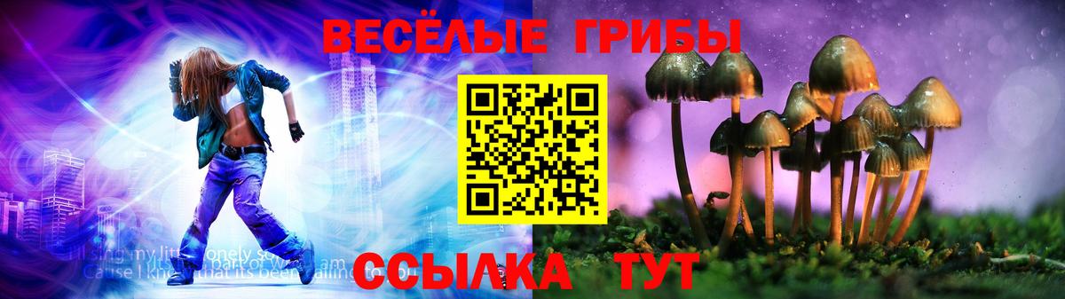 Псилоцибиновые грибы мухоморы Донской